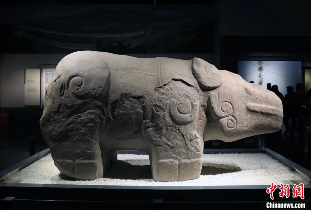 石犀目前陈列于成都博物馆"花重锦官城"成都历史文化陈列展厅.王磊 摄