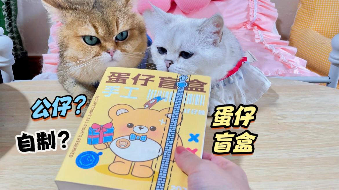 拆自制款蛋仔派对盲盒,里面是公仔还是捏捏乐?最后成品超可爱