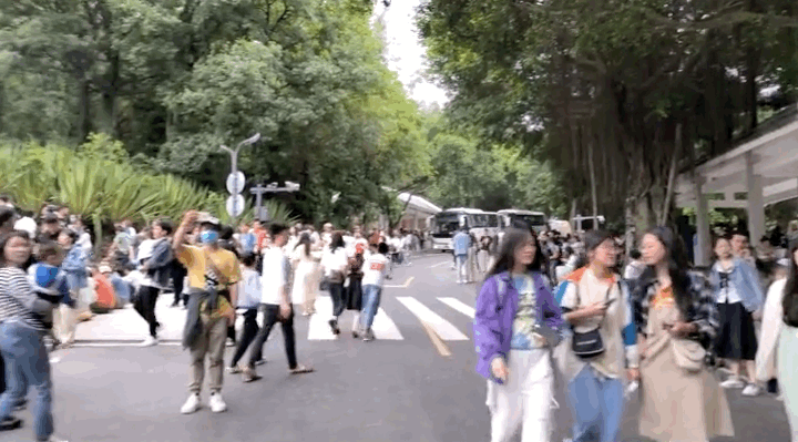 截图来源：爱与诚zz