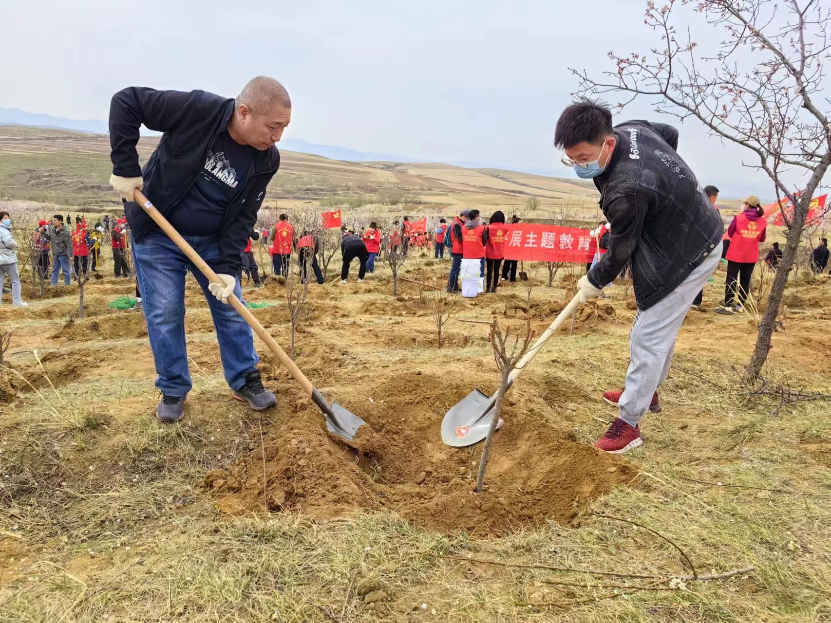 植树造林正当时 不负春光添新绿——呼和浩特供电公司基层单位开展义务植树活动__财经头条