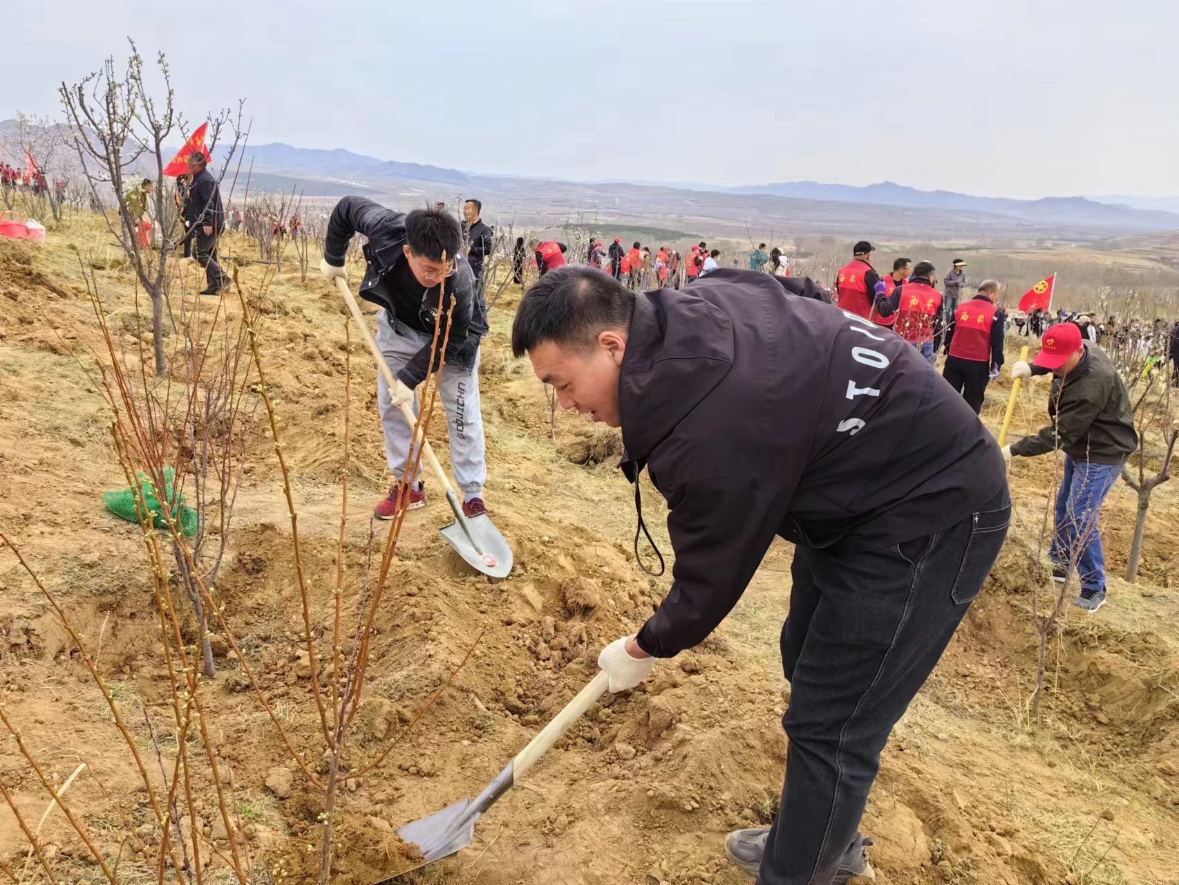 植树造林正当时 不负春光添新绿——呼和浩特供电公司基层单位开展义务植树活动__财经头条