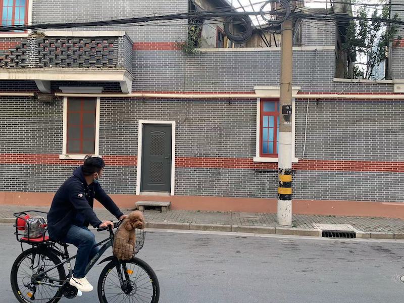 今山西北路吴昌硕估计所在区域。澎湃新闻 图