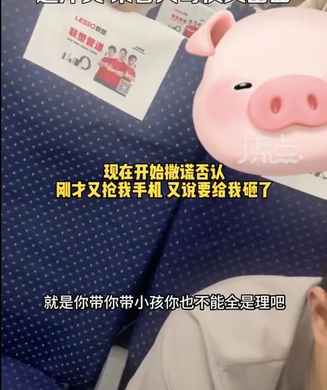 女子高铁上被熊孩子父母辱骂掌掴，东北大哥硬核调解！警方介入
