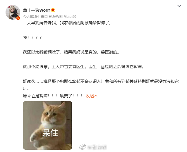 这是认真的吗 小狗居然也能检测出来这种问题吗 感觉很离谱啊……|狗_新浪新闻