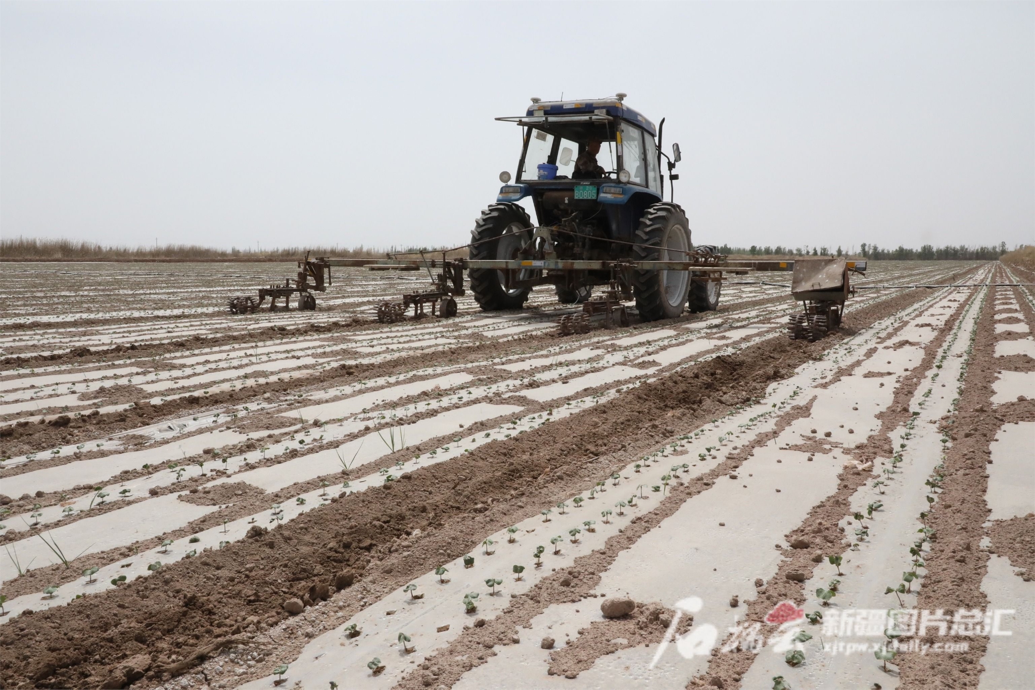 农田灌溉得力 农业增产有方——新疆多措并举全面提高农业用水保障能