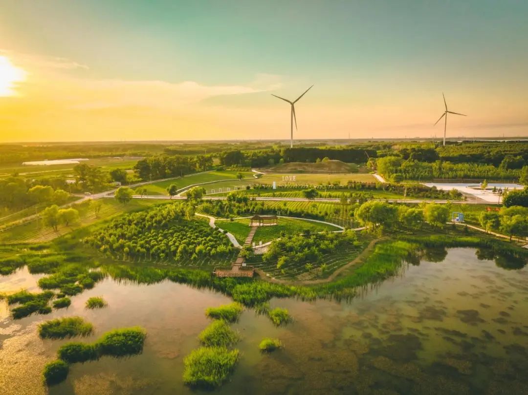 大庆油田碳中和生态园.张琦 摄