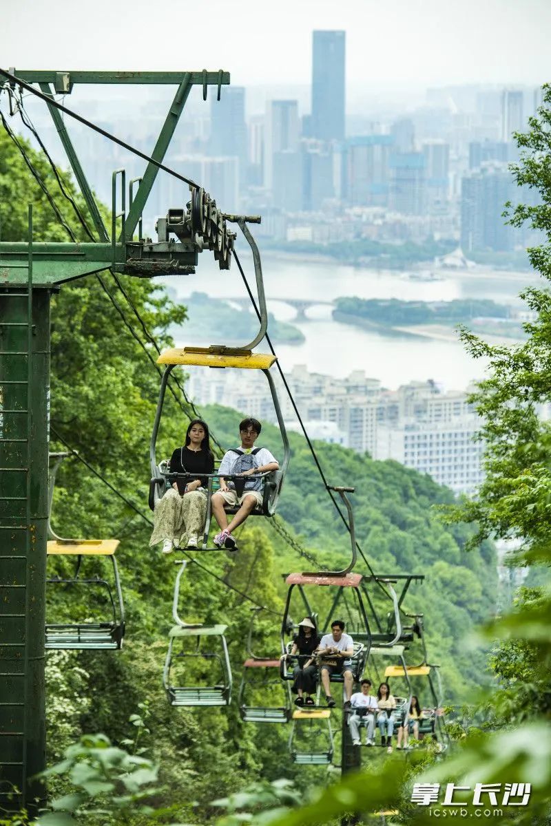 岳麓山缆车大学生图片