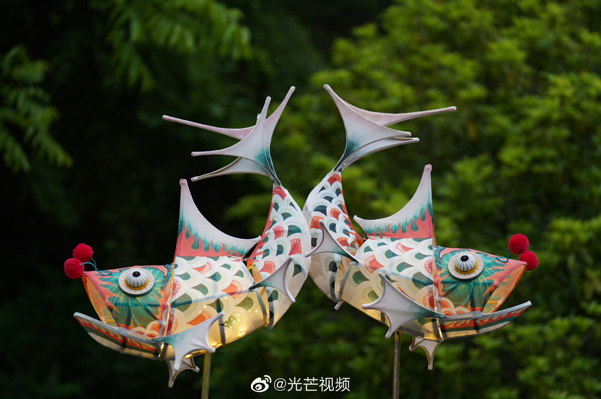 这一个画面也实在是太棒了吧,看到杭州的鱼灯巡游的时候……|杭州市_新浪新闻