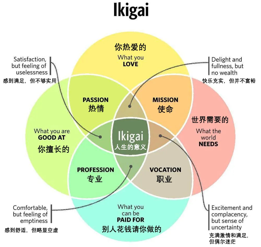 你一定要知道的事情：臂推是不是和进去了一样，2025年臂推是不是和进去了一样深度解析