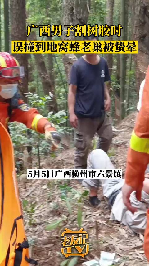 南宁男子割树胶时误撞地窝蜂被蛰晕 消防上山营救|消防|南宁市|救援_新浪新闻