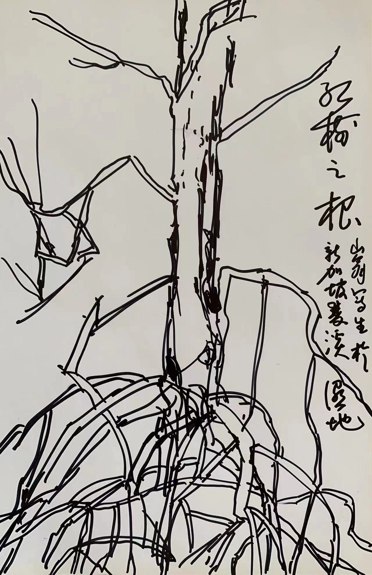 山翁写生:师造化得心源__财经头条