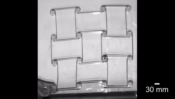 （来源：Advanced Functional Materials）