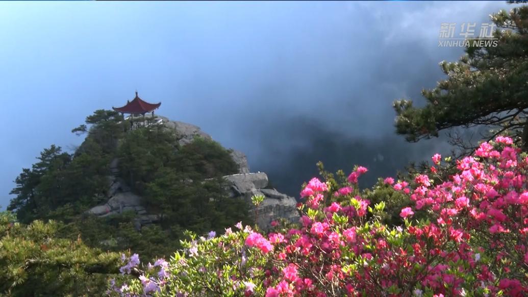 庐山小天池现瀑布云奇观_手机新浪网