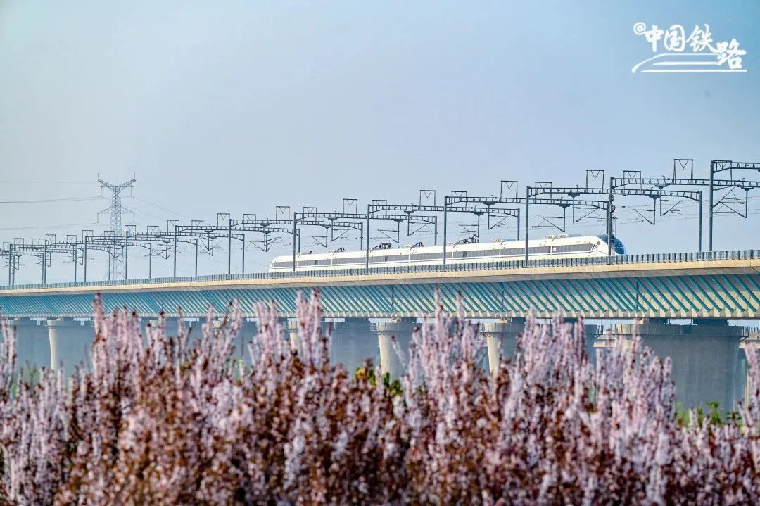 银西高铁上飞驰而过的动车组列车.张欣 摄