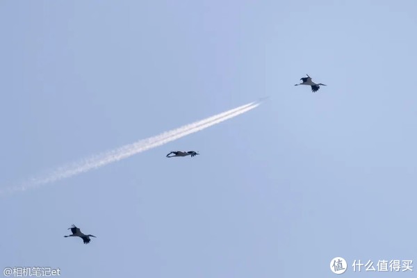 2023年，EOS R5依旧是这个价位上的最佳相机(eosr50和r10)