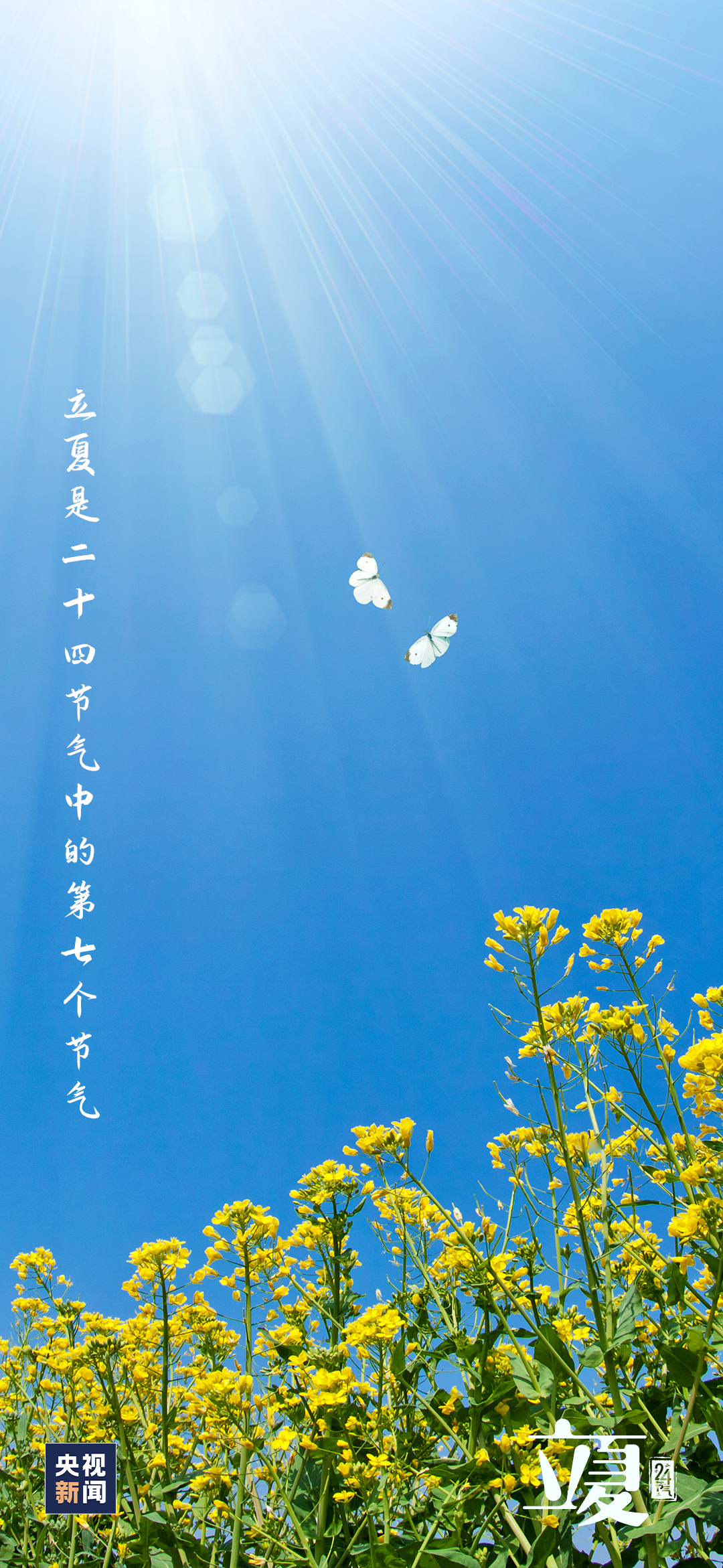 今日立夏 | 夏早日初长,南风草木香|南风_新浪财经_新浪网