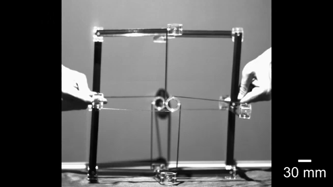 （来源：Advanced Functional Materials）