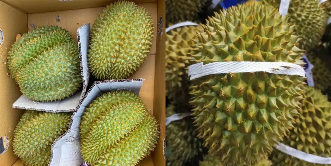 这口甜上市…|百香果_新浪财经_新浪网