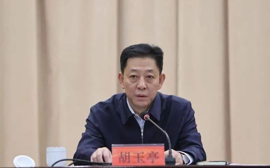 胡玉亭当选吉林省省长|胡玉亭|吉林省|山西省_新浪新闻