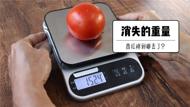 将一个新鲜的西红柿放在电子秤的秤盘上……_新浪新闻