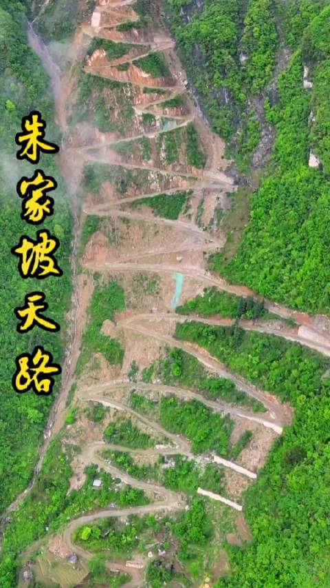 巫溪seo优化管理