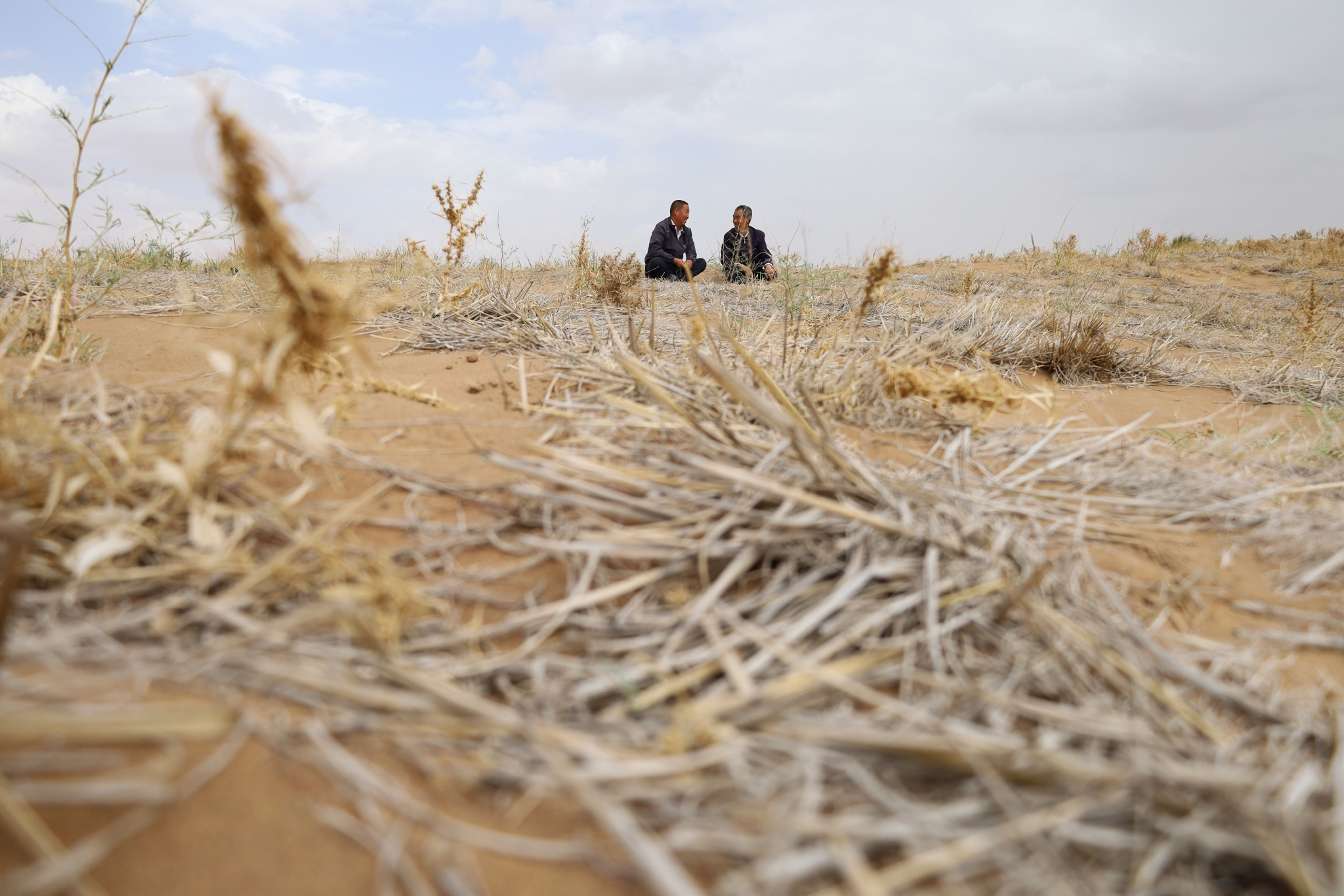 八步沙三代人的治沙情