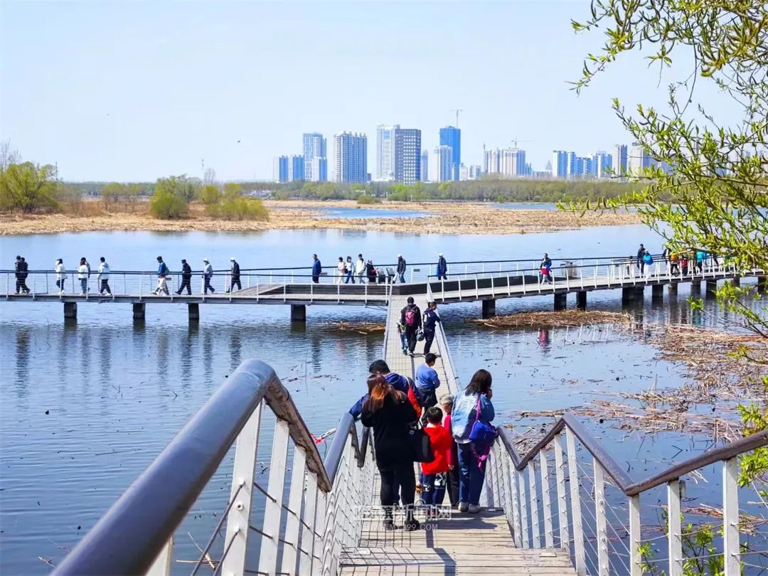 舒适天气持续丨7日哈市最高气温21℃(今天哈尔滨的最高温和最低温)