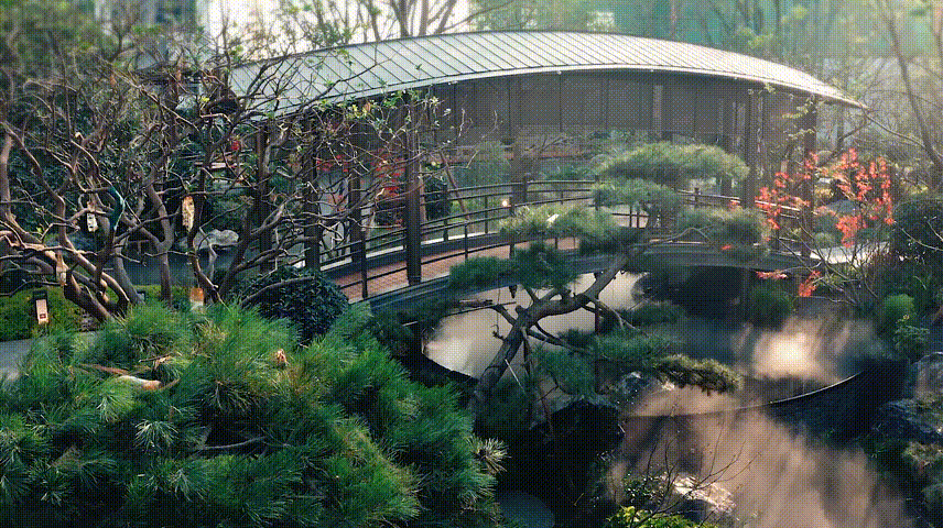 （三千云锦示范区实景图）