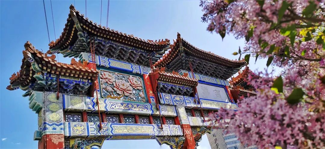 舒适天气持续丨7日哈市最高气温21℃(今天哈尔滨的最高温和最低温)