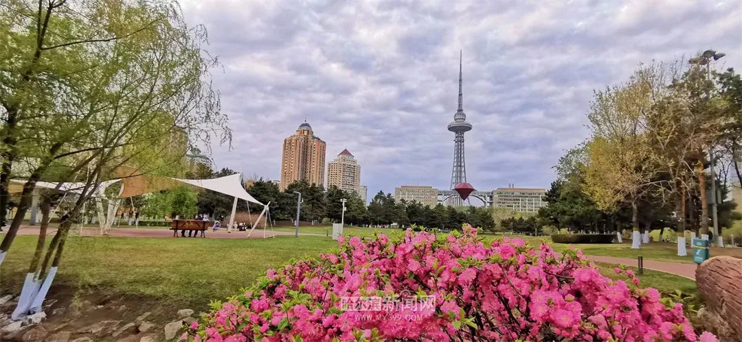 舒适天气持续丨7日哈市最高气温21℃(今天哈尔滨的最高温和最低温)