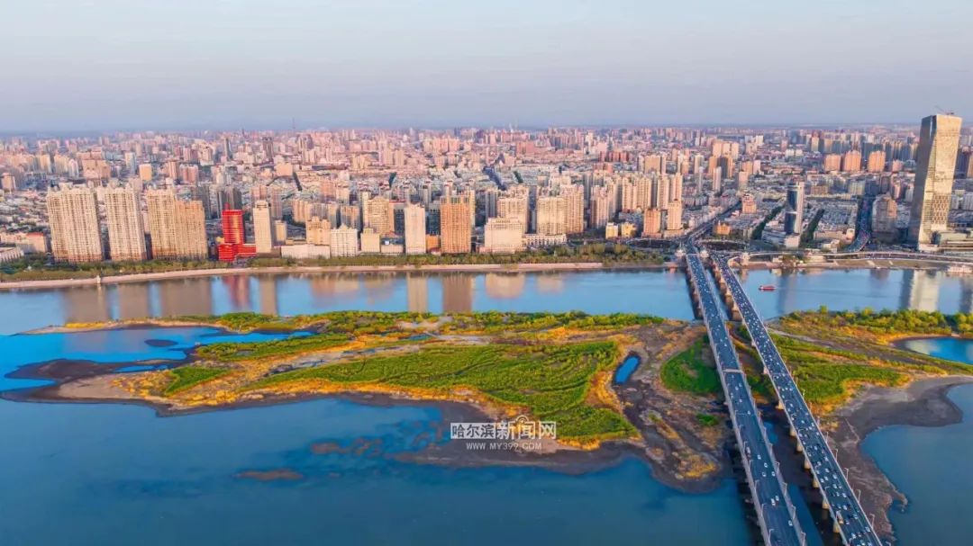 舒适天气持续丨7日哈市最高气温21℃(今天哈尔滨的最高温和最低温)