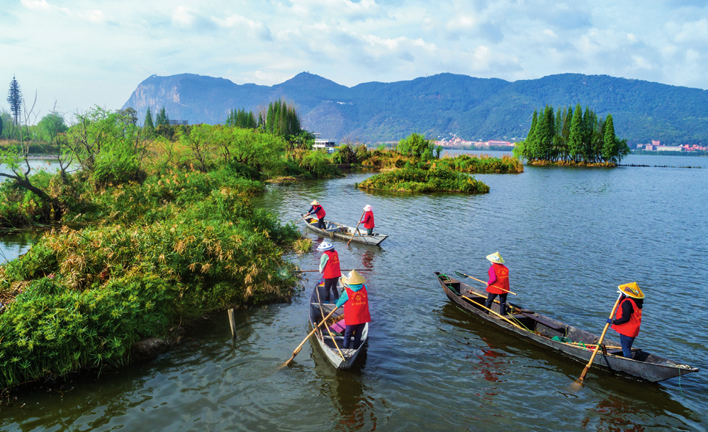 巾帼打捞队队员在滇池草海打捞水草(2023 年 3 月 20 日摄)陈欣波 摄