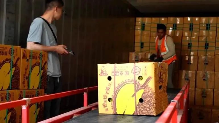 △工人们对搭乘中老铁路而来的榴莲进行分装