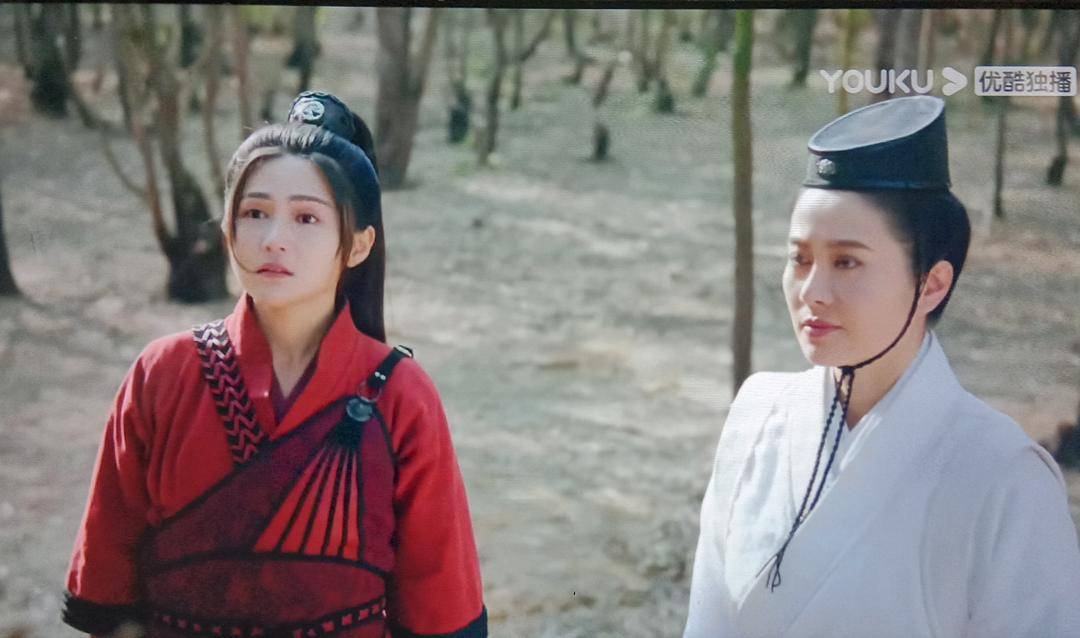 《谯国夫人》不需要褒衣博带?服饰专家:岭南才女来南京也该着六朝服饰__财经头条
