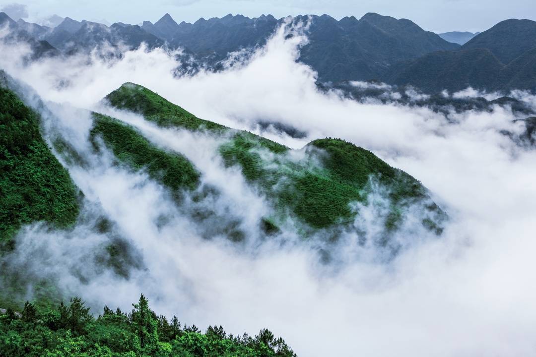 全域旅游新格局 带动万源特色产业发展驶入“快车道”