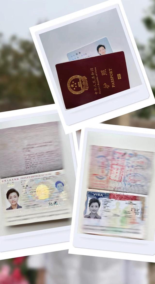 杨澜在乡间显沧桑，长眼袋白发嘴角脓包瞩目，举护照澄清移民传闻