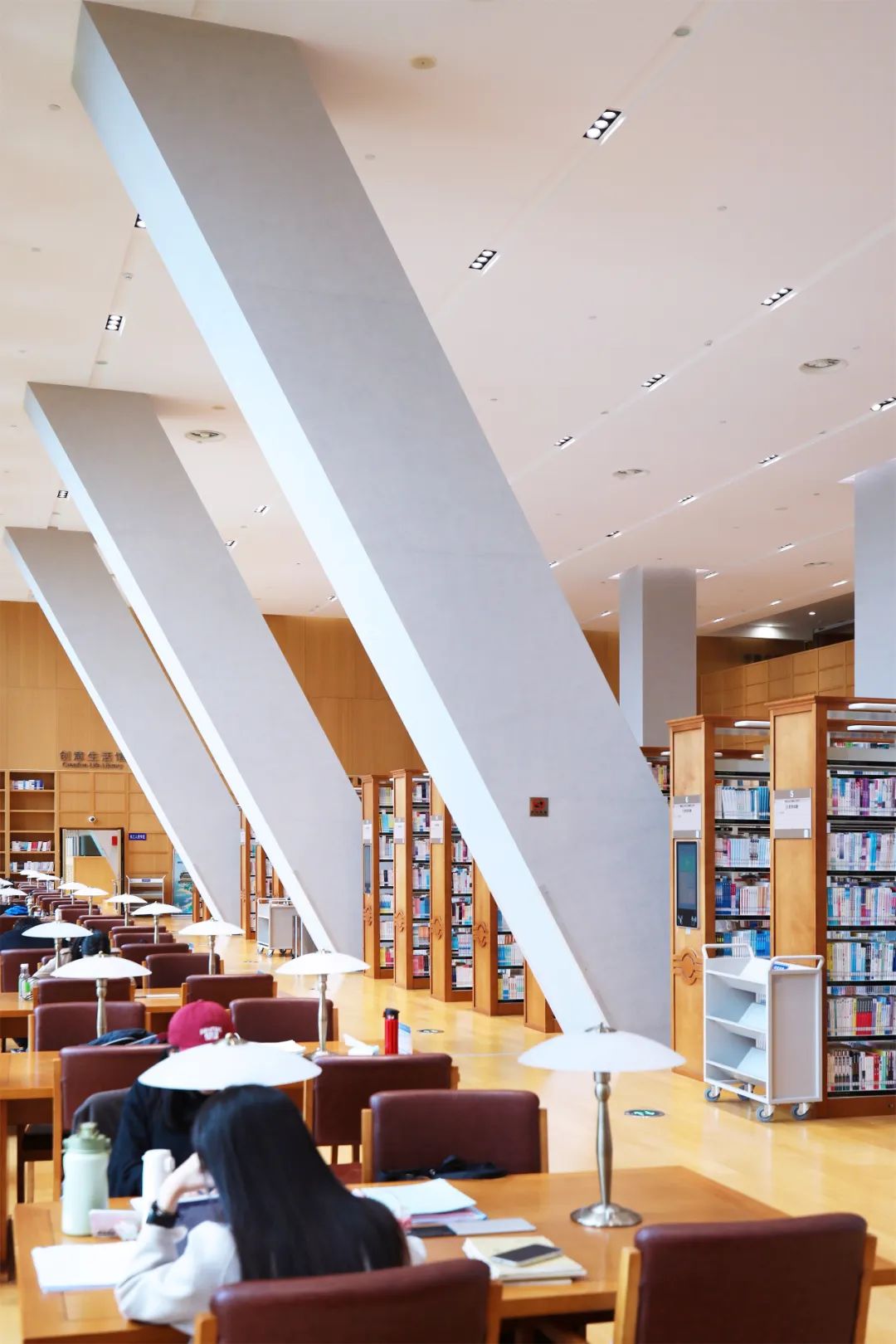 面向大海,坐拥典藏万千,来这座海景图书馆真值了