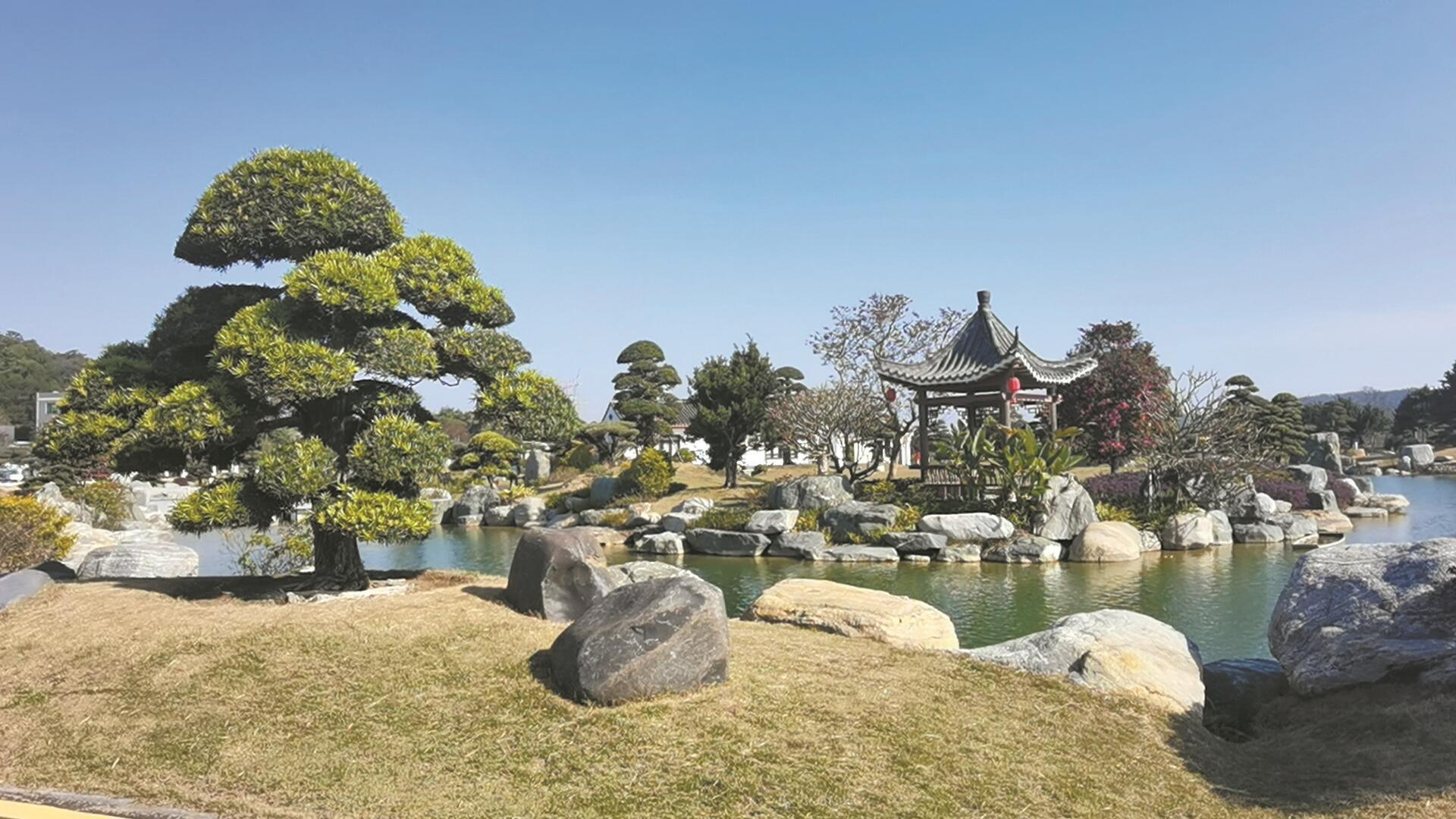 特色文旅注活力 岭南盆景成网红__财经头条