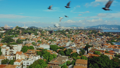 来源：《WE ARE 厦门》第三季宣传片