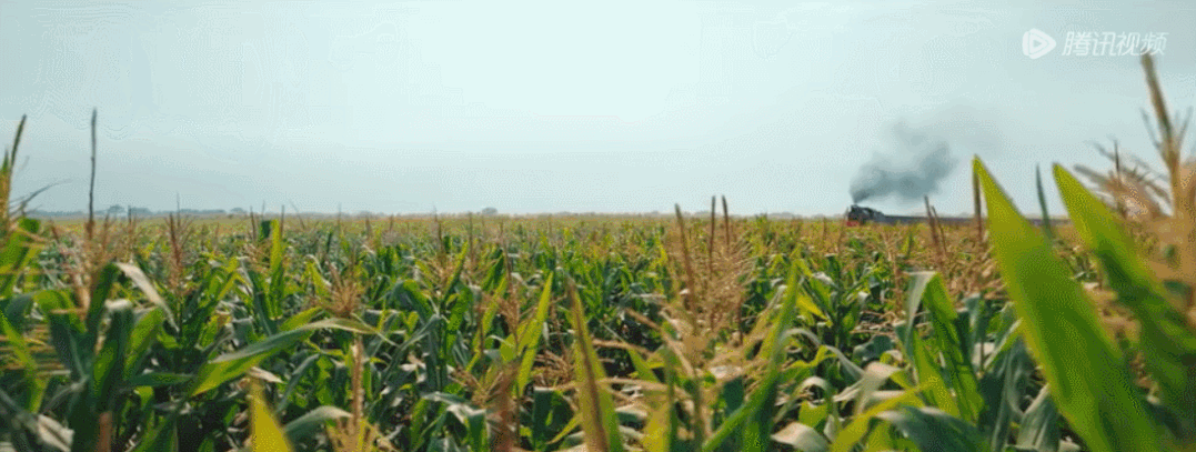 《漫长的季节》视频截图