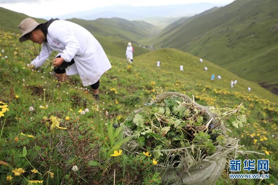 新华社记者 杜哲宇 摄
