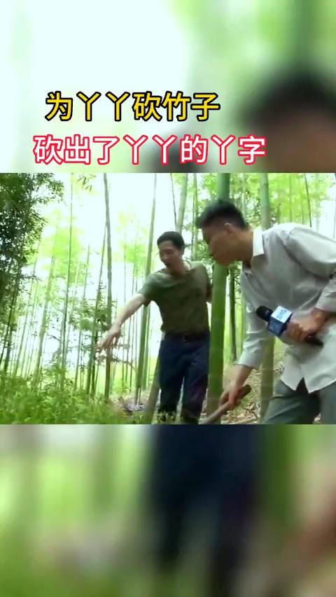 为丫丫砍竹子，暖心的砍出了丫丫的丫字……|佟丽娅_新浪新闻