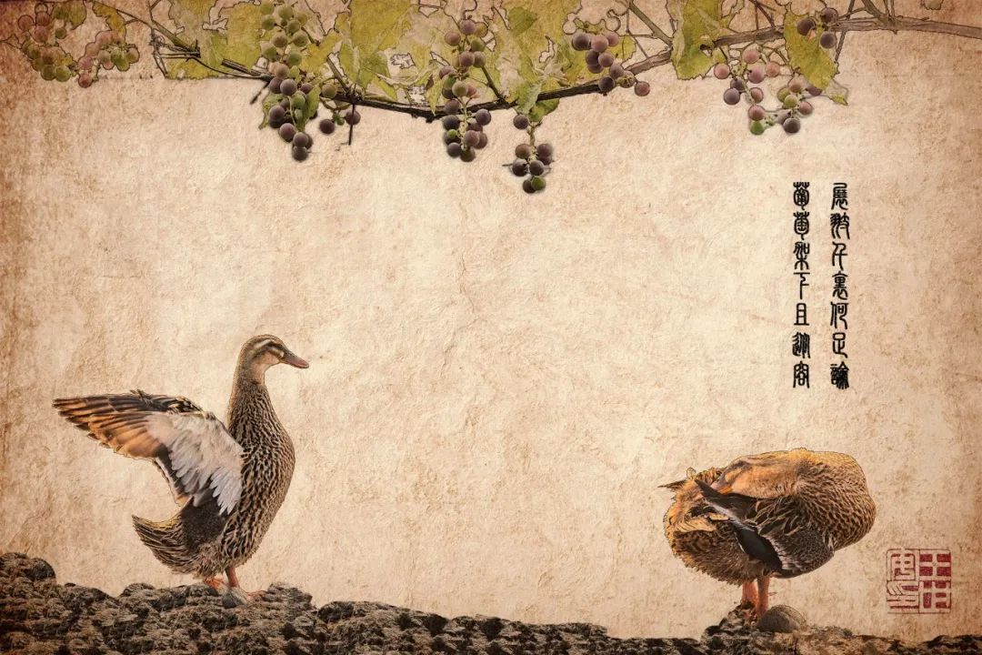 无忌评图第96期|摄影也可以忘情于“笔墨”__财经头条