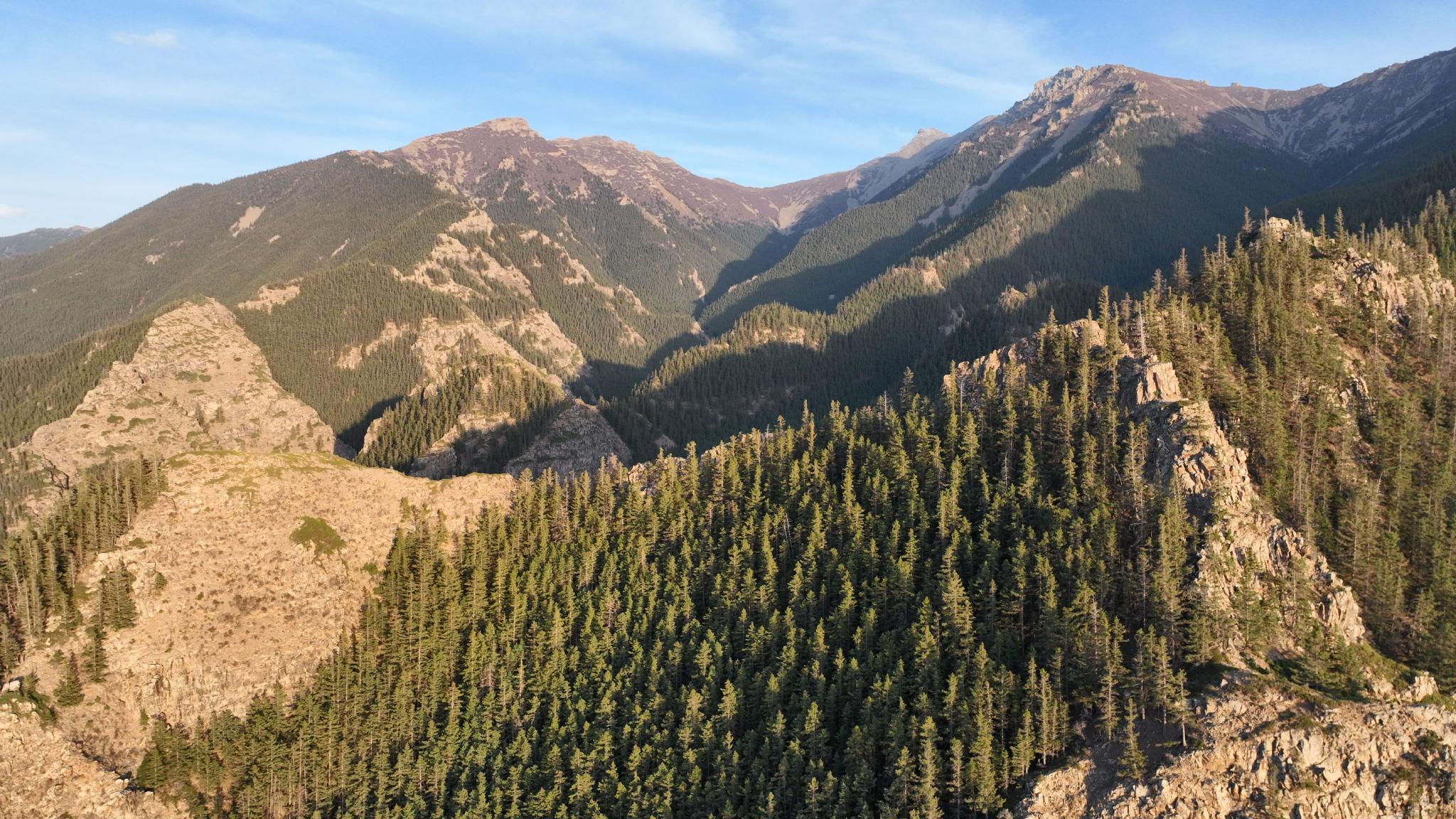 初夏贺兰山|贺兰山|内蒙古|国家级自然保护区_新浪新闻