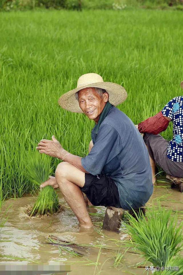 学大庆的工人老了有几千元退休金,学大寨的农民老了,有啥?__财经头条