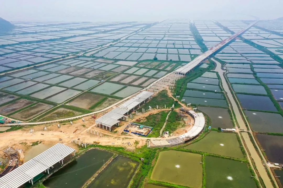 黄茅海跨海通道建设进展顺利,图为通道江门台山段赤溪东互通架梁