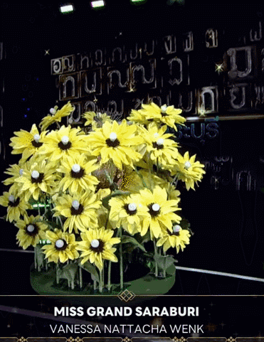 2023̩��ѡ������չ��Ѥ�������ɣ�2��