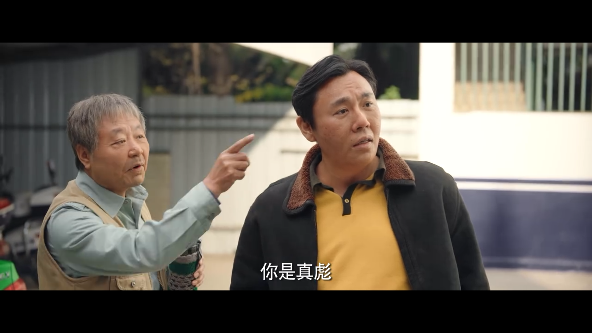 依然范德彪:故事从《马大帅》一直讲到《漫长的季节》|漫长的季节