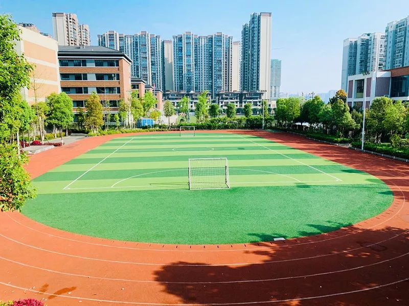 四川天府新区,成都高新区公开招聘!|小学_新浪财经_新浪网