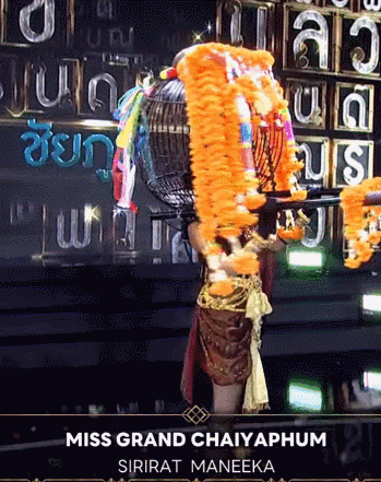 2023̩��ѡ������չ��Ѥ�������ɣ�1��